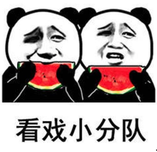 娱乐吃瓜表情包图片