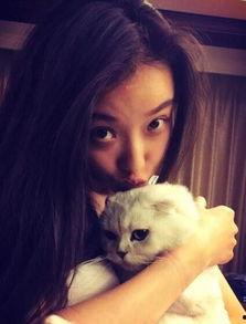 娱乐吃瓜酱虐猫小说