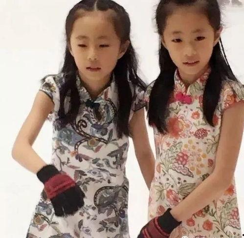 香港双胞胎明星