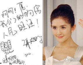 明星字,明星字背后的故事与魅力